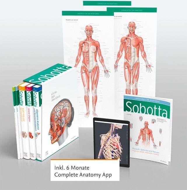 Sobotta Atlas der Anatomie 3 Bände Lerntabellen Poster Collection