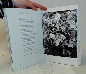 Odplouváme mezi stíny