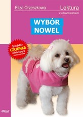 Wybór nowel (ABC, Dobra pani, Gloria victis). Lektura z opracowaniem