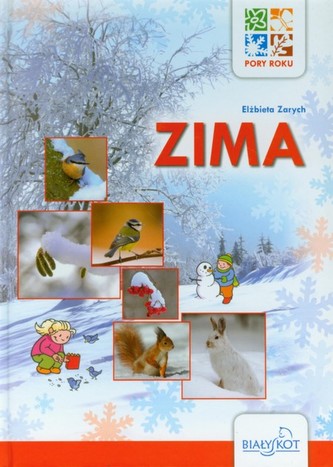 Pory roku. Zima Pory roku. Zima