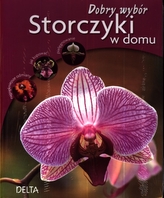 Storczyki w domu