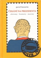 Obrázek