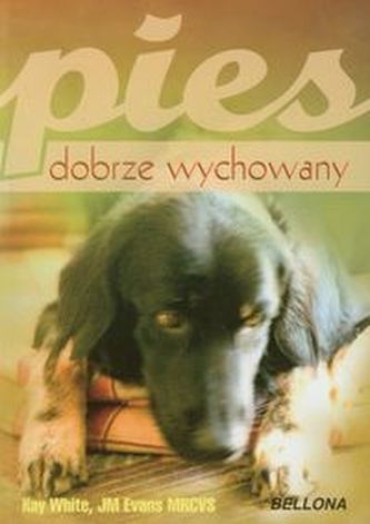Pies dobrze wychowany
