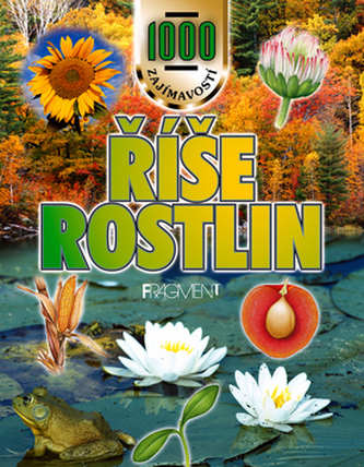 Říše rostlin Říše rostlin