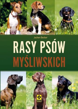 Rasy psów myśliwskich
