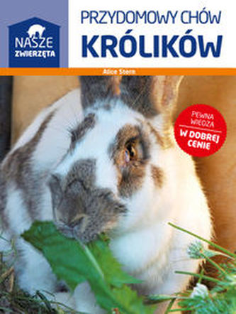Przydomowy chów królików Przydomowy chów królików
