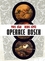 Operace Bosch Operace Bosch