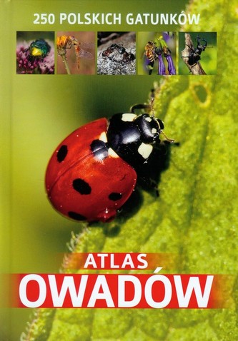 Atlas owadów. 250 polskich gatunków Atlas owadów. 250 polskich gatunków