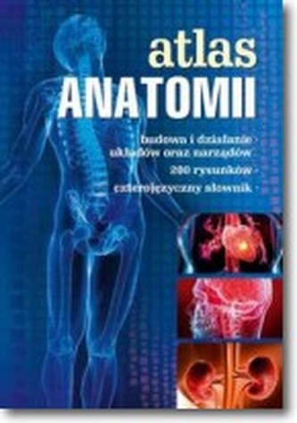 Atlas anatomii