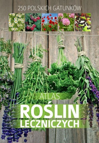 Atlas roślin leczniczych. Ponad 230 gatunków