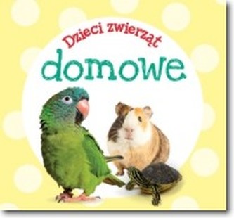 Dzieci zwierząt - domowe Dzieci zwierząt - domowe