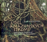 Obrázek