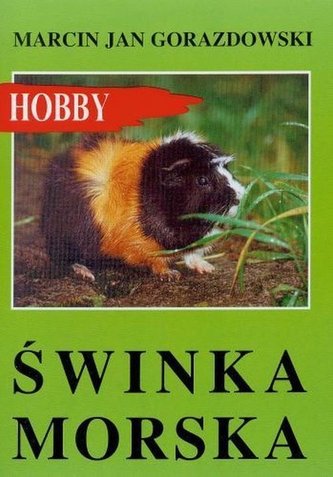 Świnka morska. Hobby