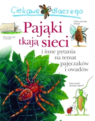 Ciekawe dlaczego. Pająki tkają sieci