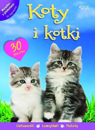 Koty i Kotki książka z plakatami Koty i Kotki książka z plakatami