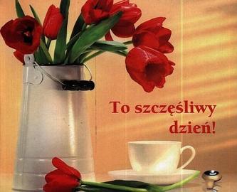 Perełka 134. To szczęśliwy dzień