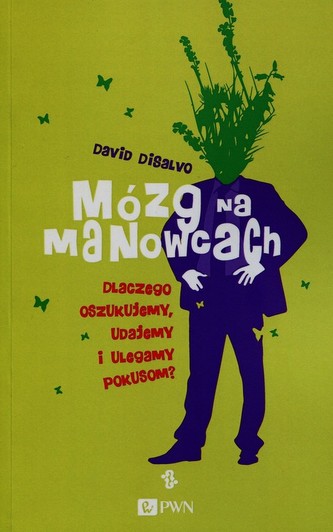 Mózg na manowcach dlaczego oszukujemy