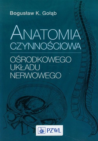 Anatomia czynnościowa ośrodkowego układu nerwowego Anatomia czynnościowa ośrodkowego układu nerwowego