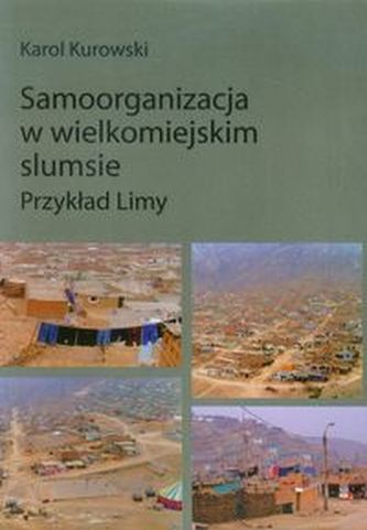 Samoorganizacja w wielkomiejskim slumsie Samoorganizacja w wielkomiejskim slumsie