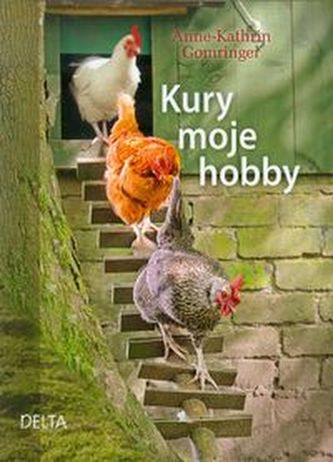 Kury moje hobby Kury moje hobby