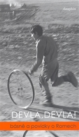 Obrázek