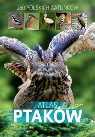Atlas ptaków Atlas ptaków