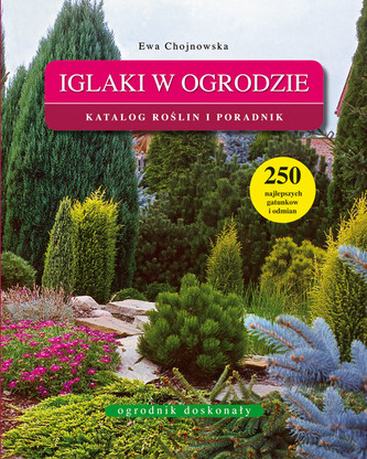Iglaki w ogrodzie Iglaki w ogrodzie