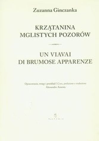 Krzątanina mglistych pozorów