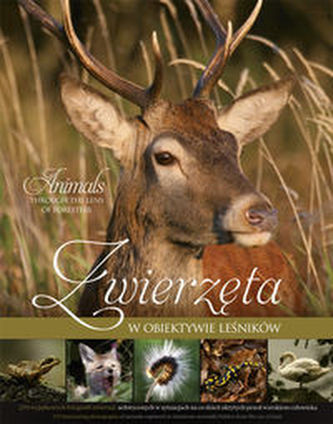 Zwierzęta w obiektywie leśników Zwierzęta w obiektywie leśników