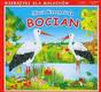 Bocian
