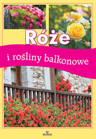 Róże i rośliny balkonowe Róże i rośliny balkonowe