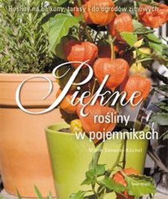 Piękne rośliny w pojemnikach Piękne rośliny w pojemnikach