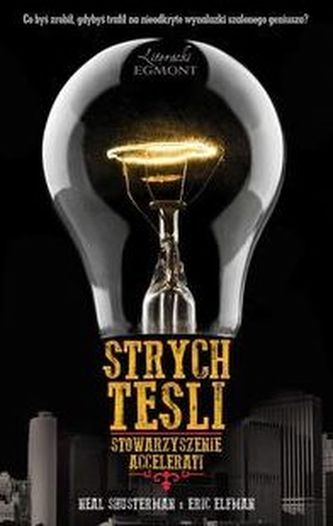 Strych Tesli