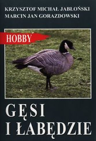 Gęsi i łabędzie Gęsi i łabędzie