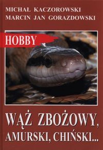 Wąż zbożowy, amurski, chiński… Wąż zbożowy, amurski, chiński…
