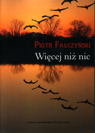 Więcej niż nic Więcej niż nic
