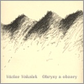 Obrázek