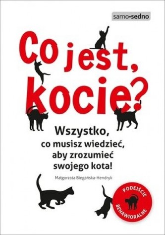 Co jest, kocie?