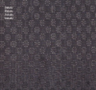 Müllerova vila - Detaily