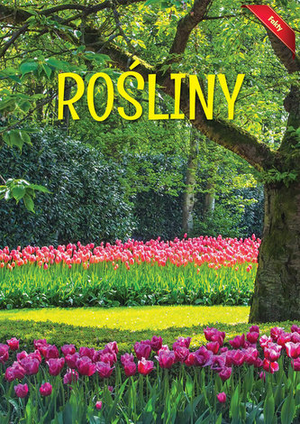 Encyklopedia Fakty Rośliny Encyklopedia Fakty Rośliny