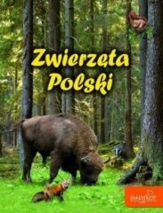 Zwierzęta Polski