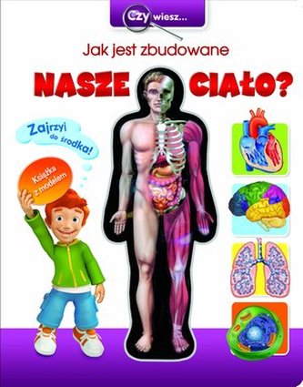 Jak jest zbudowane nasze ciało ?