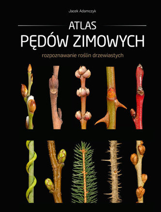 Atlas pędów zimowych