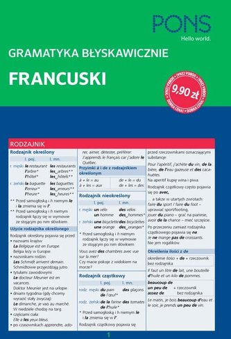 Gramatyka błyskawicznie. Francuski