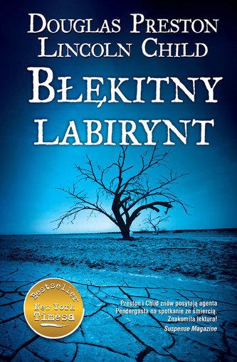 Błękitny labirynt