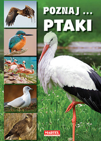 Poznaj... ptaki