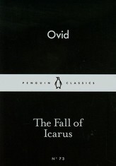 The Fall of Icarus