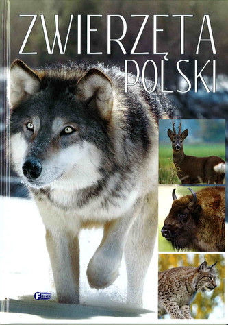 Zwierzęta Polski