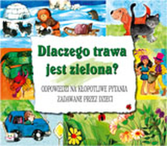 Dlaczego trawa jest zielona ?