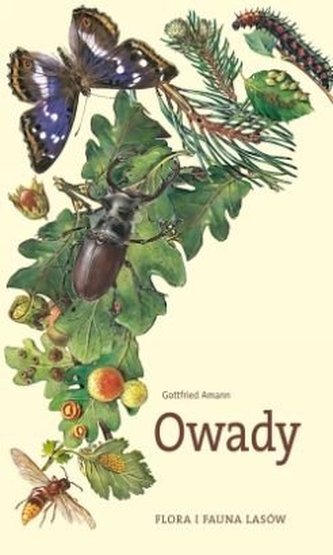 Owady. Flora i fauna lasów